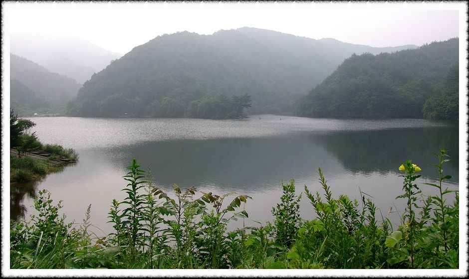 20070731_27.jpg
