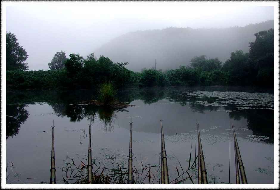 20070731_34.jpg