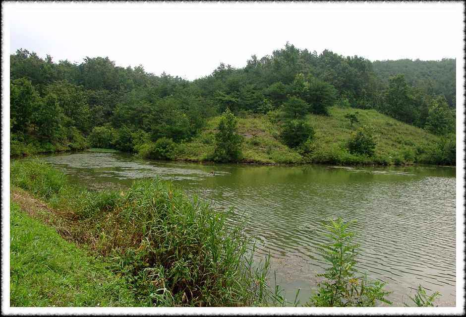 20070731_53.jpg