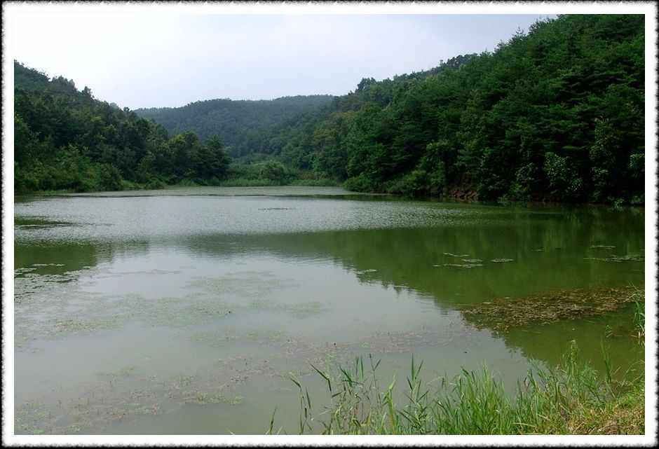 20070731_56.jpg