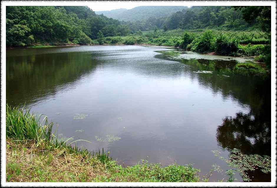 20070731_60.jpg