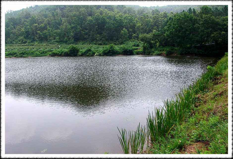 20070731_61.jpg