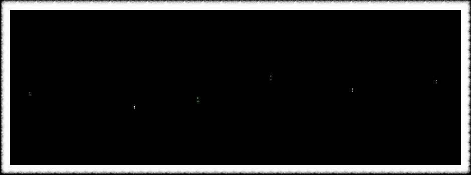 20070731_77.jpg
