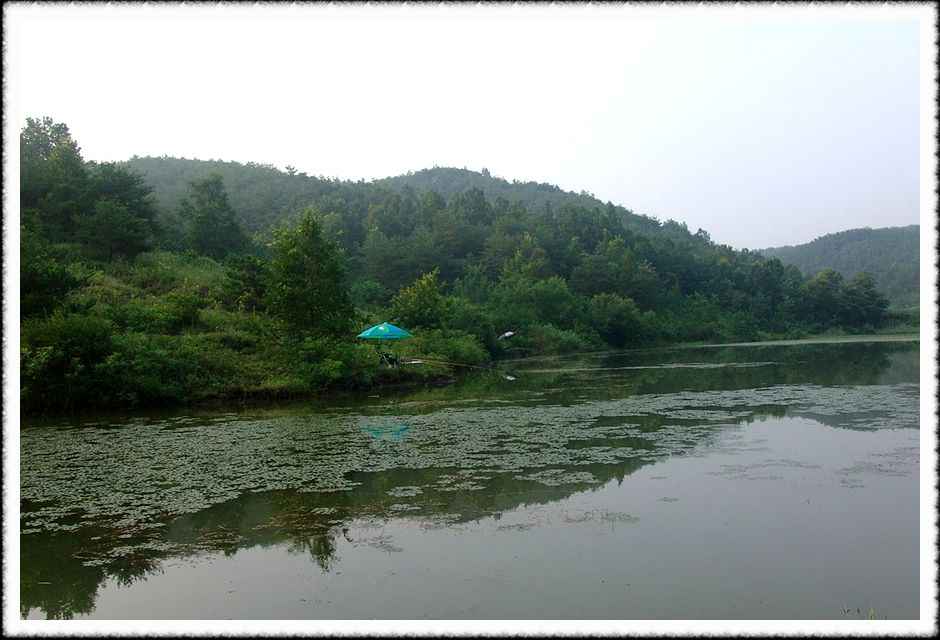 20070731_78.jpg