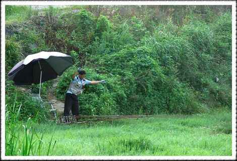 20070731s_05.jpg