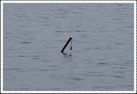 20070731s_10.jpg