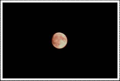 20070731s_13.jpg