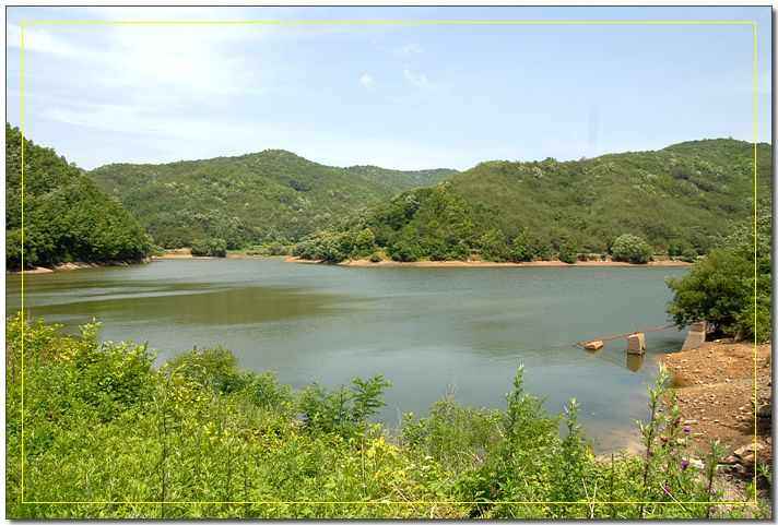 20080619_01.jpg