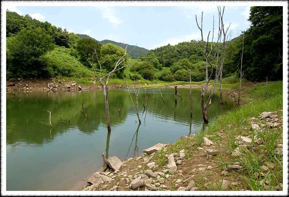 20080803_05.jpg