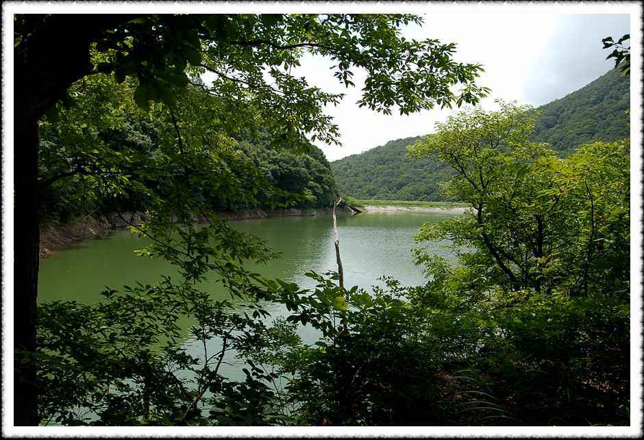 20080803_06.jpg