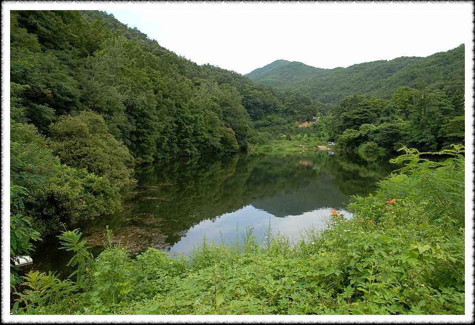 20080803_08.jpg