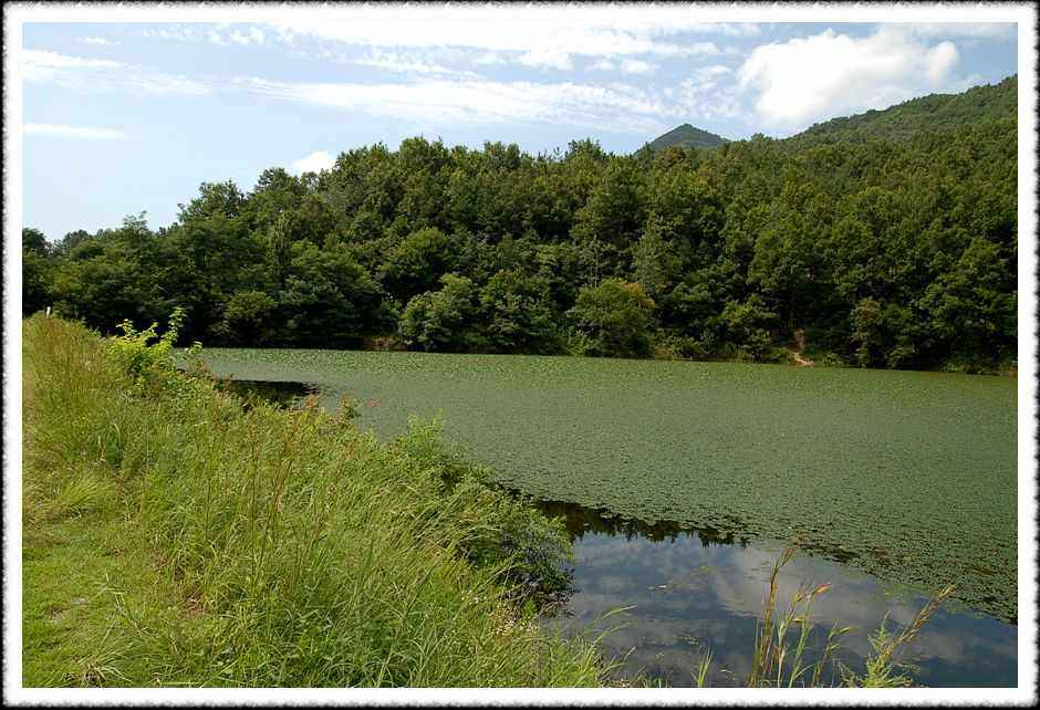 20080803_10.jpg