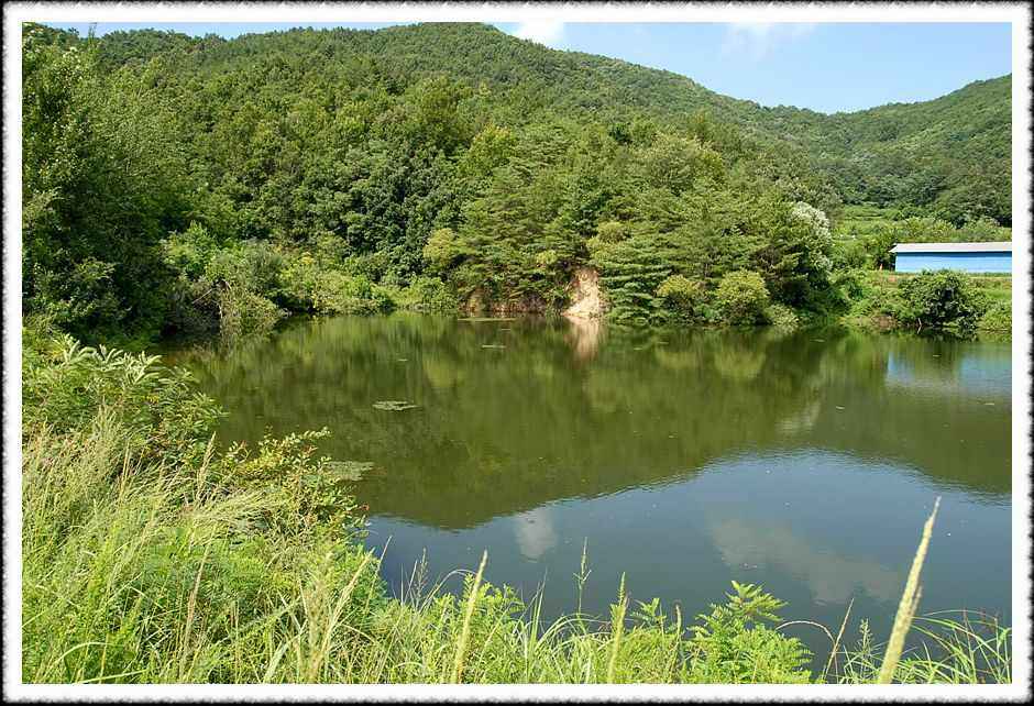 20080803_12.jpg