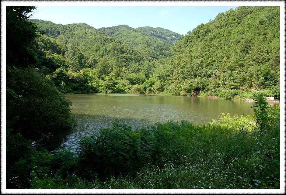 20080803_18.jpg