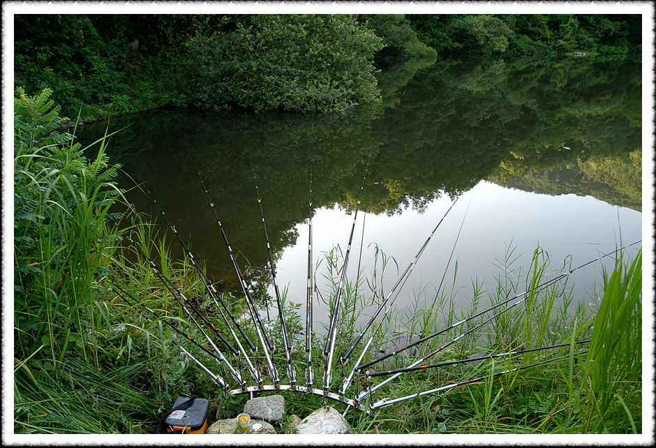 20080803_20.jpg