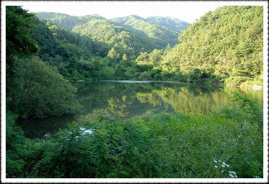20080803_23.jpg