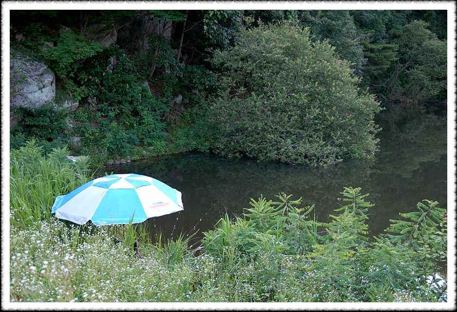 20080803_24.jpg