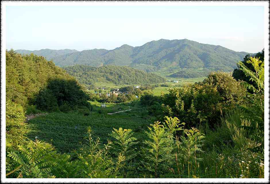 20080803_26.jpg