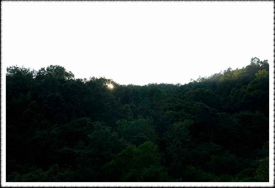 20080803_28.jpg
