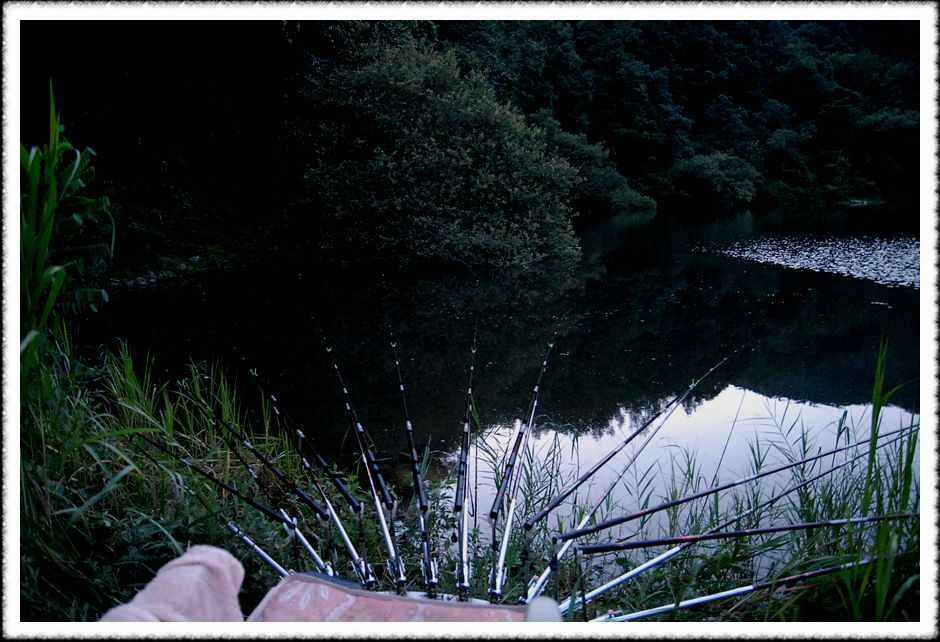 20080803_32.jpg