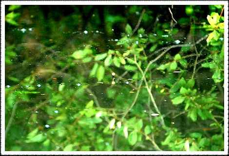 20080803_41.jpg