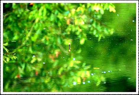 20080803_42.jpg