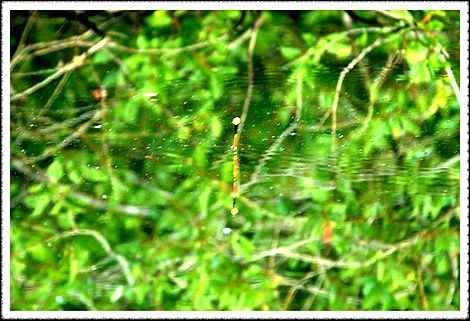 20080803_43.jpg