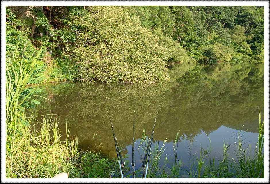 20080803_49.jpg
