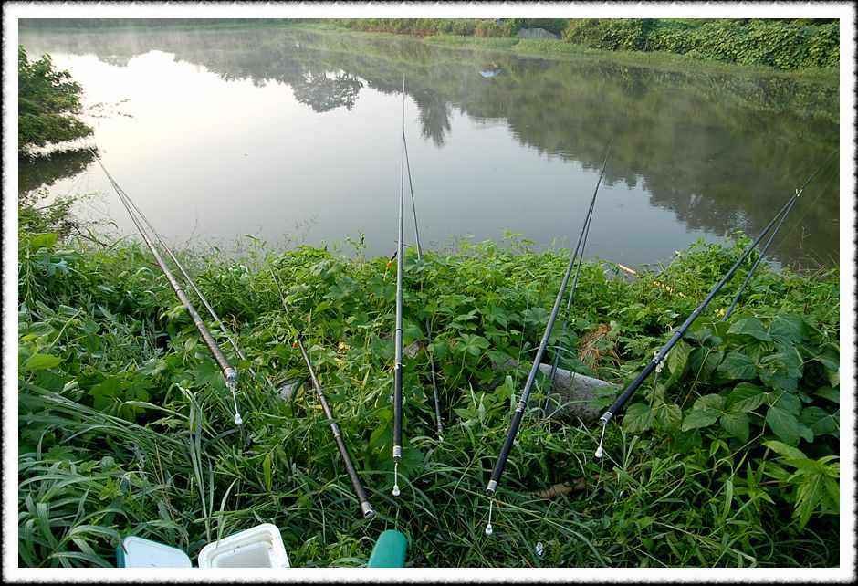 20080804_08.jpg
