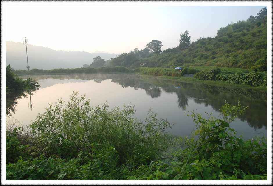20080804_10.jpg