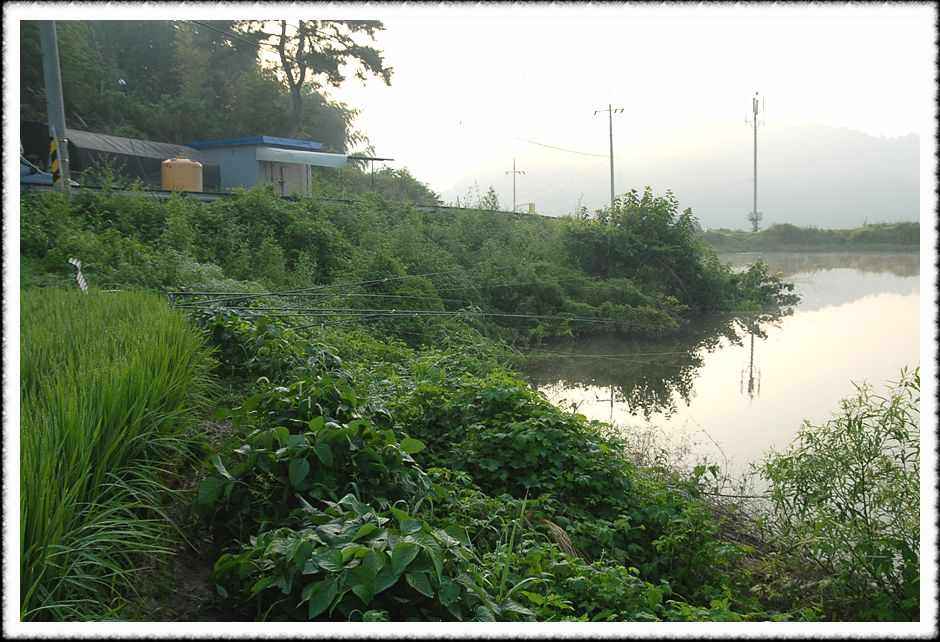 20080804_12.jpg