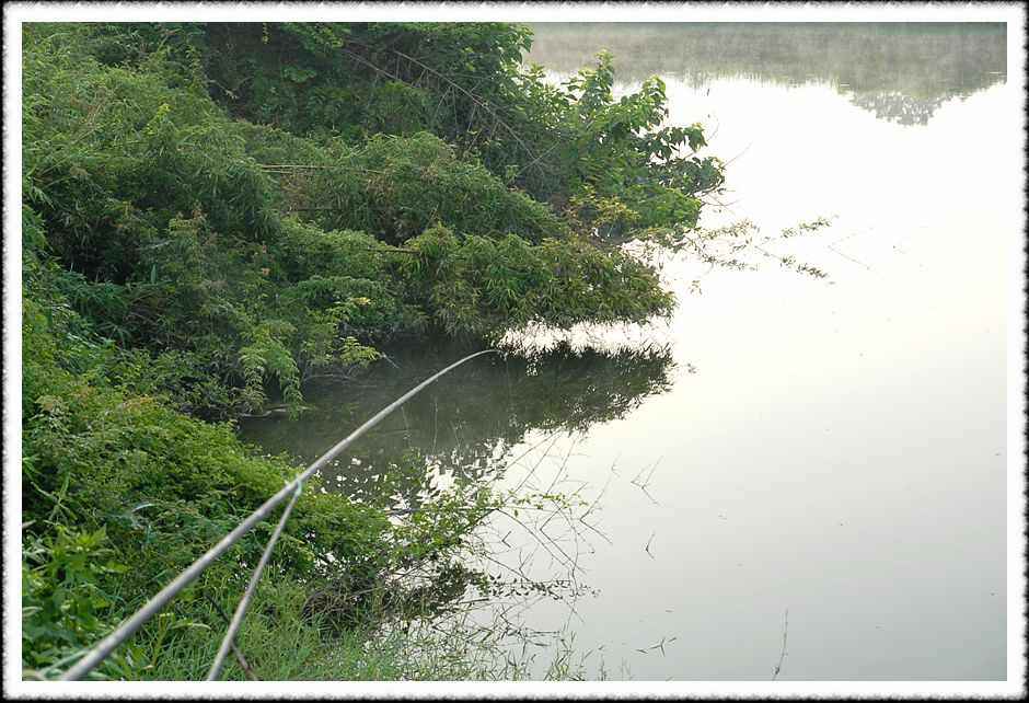 20080804_14.jpg