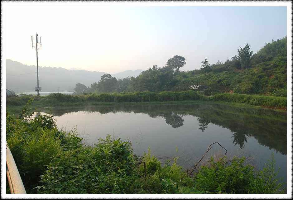 20080804_17.jpg
