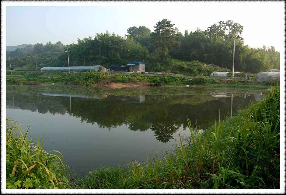 20080804_22.jpg