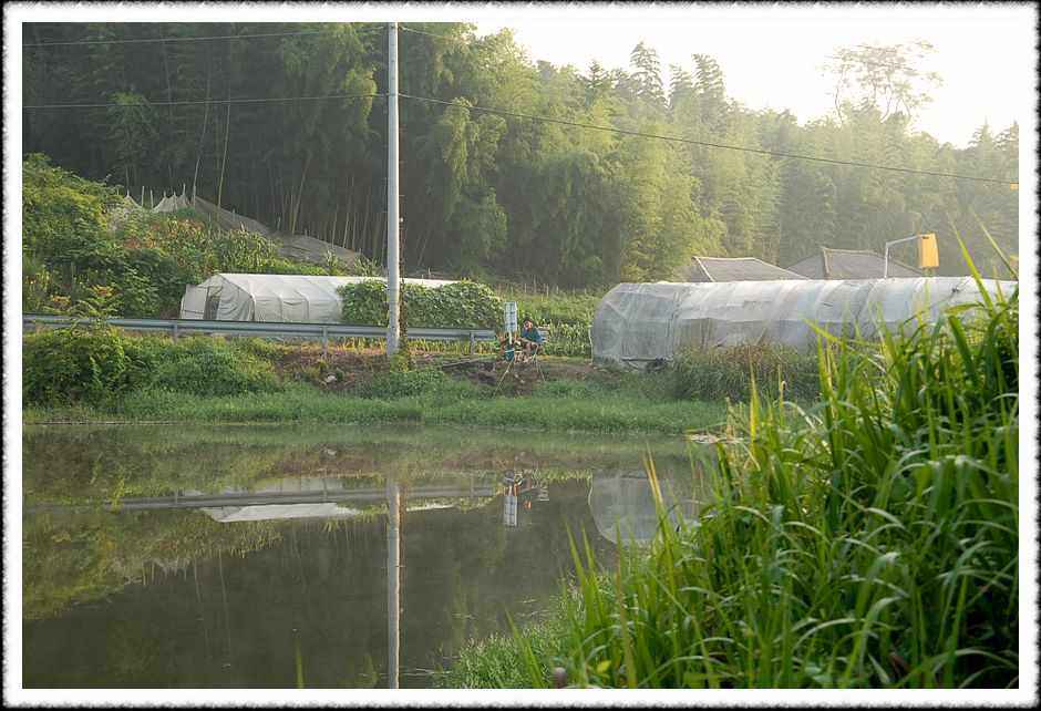 20080804_23.jpg