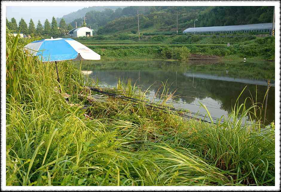 20080804_25.jpg