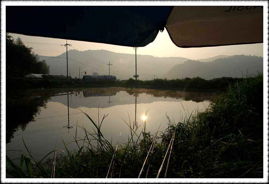20080804_27.jpg