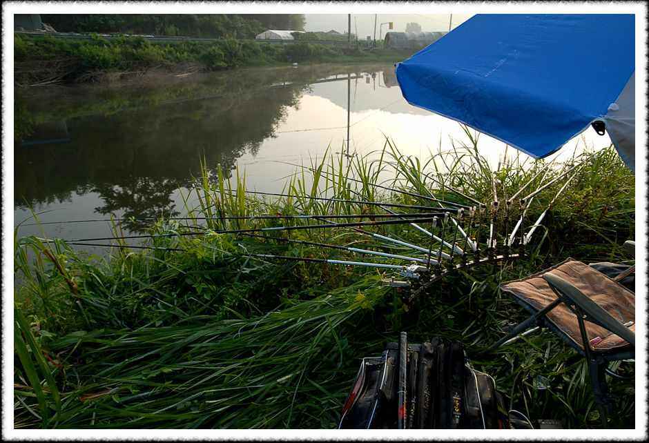 20080804_28.jpg