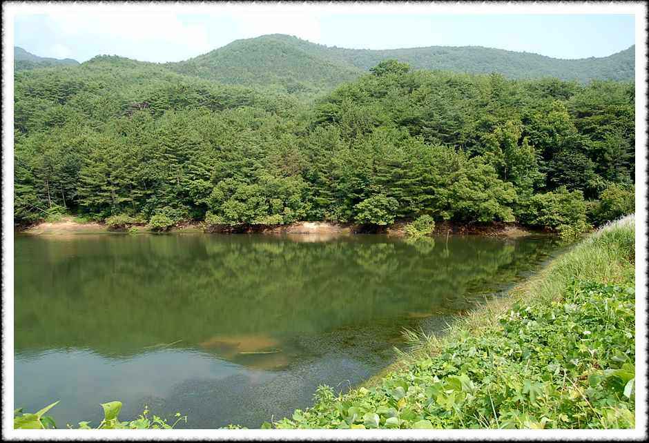 20080805_01.jpg