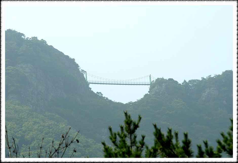 20080805_07.jpg