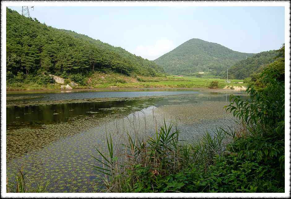 20080805_09.jpg