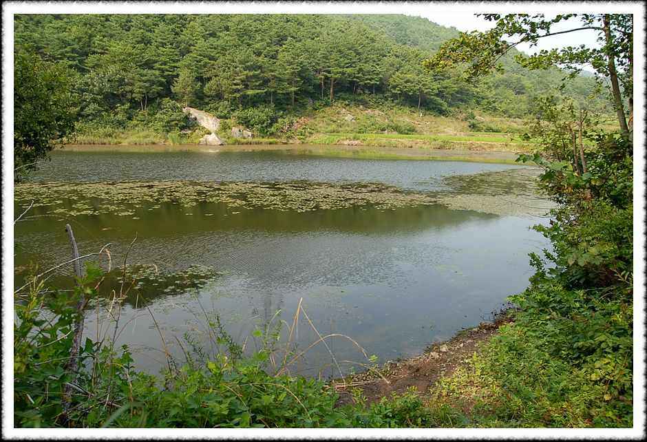 20080805_11.jpg