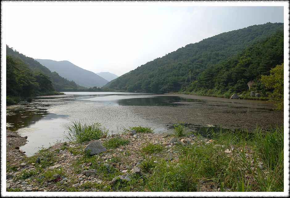 20080805_13.jpg