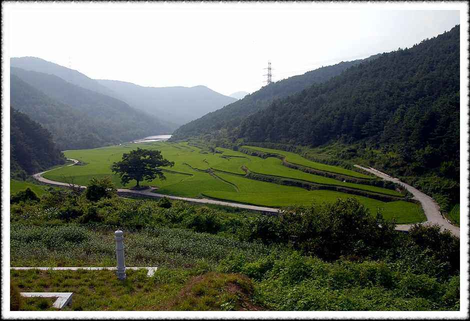 20080805_14.jpg