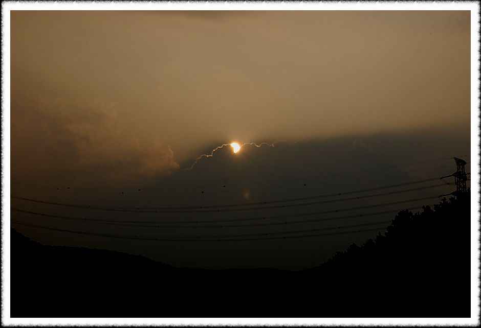 20080805_16.jpg