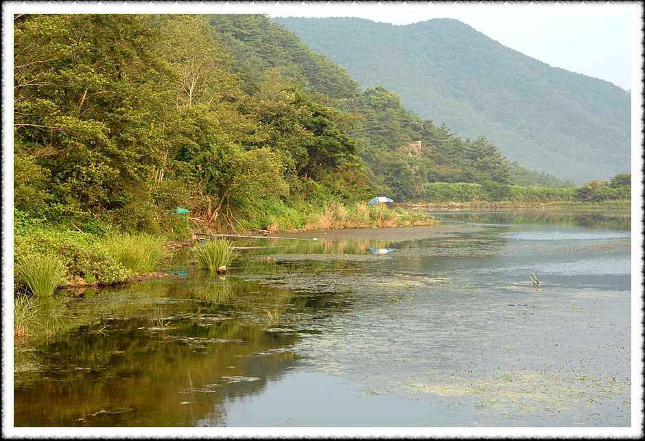 20080805_17.jpg