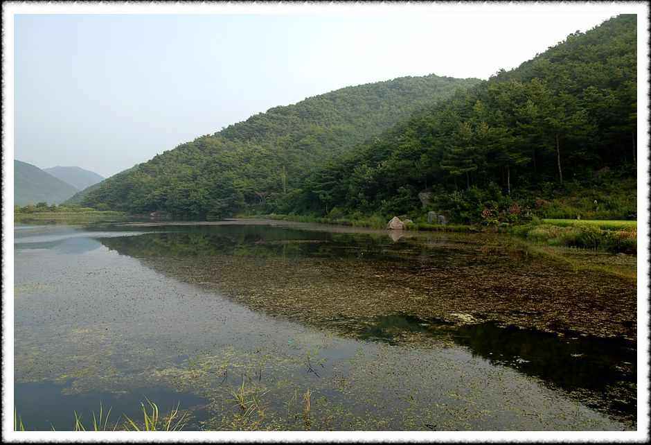 20080805_18.jpg