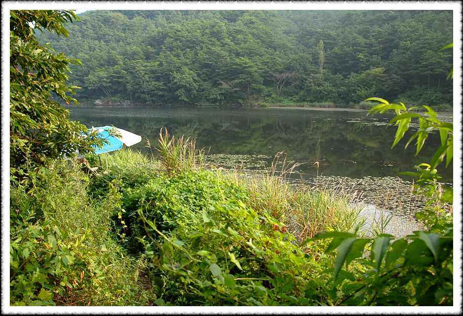 20080805_21.jpg