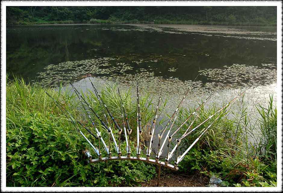 20080805_22.jpg