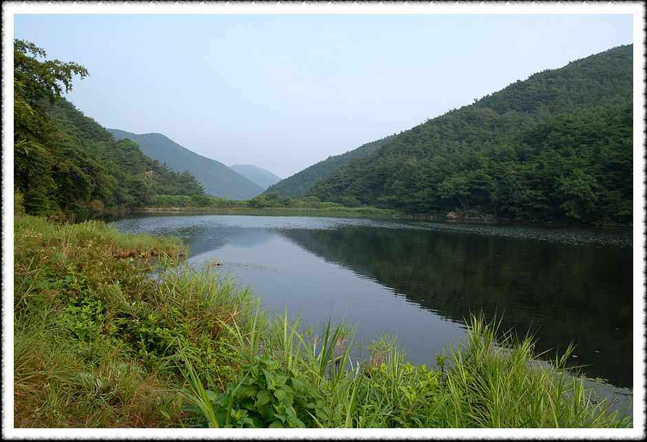 20080805_24.jpg